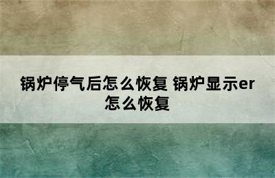 锅炉停气后怎么恢复 锅炉显示er怎么恢复